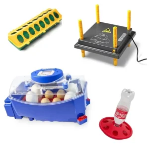 Kuikenpakket Borotto Lumia 8 Automatisch