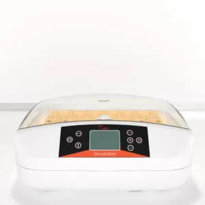 HHD Broedmachine 42A Automatisch