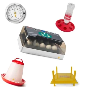 Kuikenpakket HHD Broedmachine 12 (leverbaar vanaf 4 april)