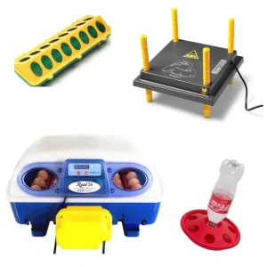 Kuikenpakket Borotto Real 24 Automatisch