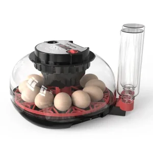 Wonegg Broedmachine 12H Automatisch