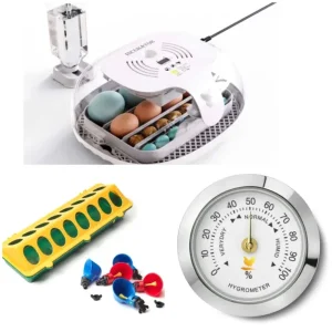 Wonegg Broedmachine 16