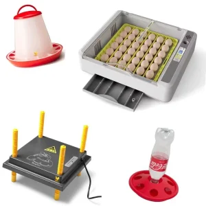 Kuikenpakket HHD Broedmachine 36 (leverbaar vanaf 4 april)