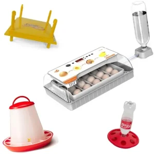 Kuikenpakket HHD Broedmachine 20