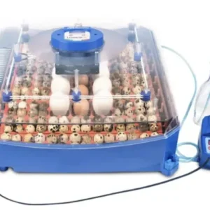 Borotto Lumia 56 Expert