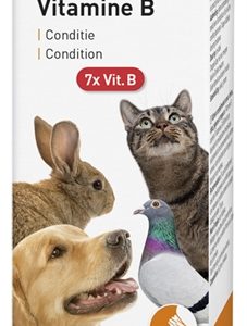 Beaphar vit B – vogels, knaagdieren, katten en honden