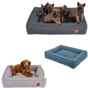 Jack and Vanilla Orthopedisch boxbed in 3 maten