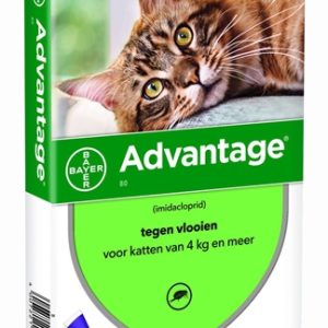 Bayer advantage anti vlooimiddel spot on voor katten