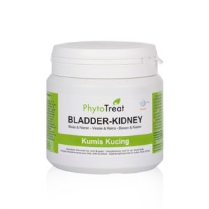 PHYTOTREAT BLADDER-KIDNEY NIERGRUISFORMULE