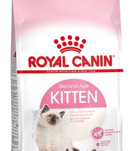 Royal Canin Kitten brokken kattenvoer 12x