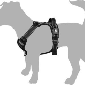 Harnas Balou Zwart L | A:40-62cm B:60-85cm x 25mm x 2mm