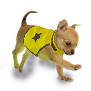 Veiligheidsjasje Fluo S: 40cm neon geel