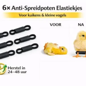 Anti-spreidpoten elastiekjes (6 stuks)
