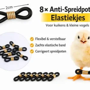 Anti-spreidpoten elastiekjes (8 stuks)