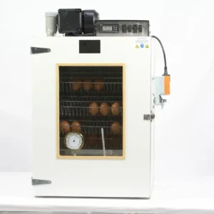 MS90 slaglatten Broedmachine Volautomatisch