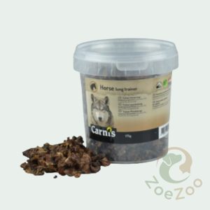 Carnis paardenlong trainers