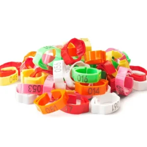 Genummerde en verstelbare kippenringen (50 stuks)