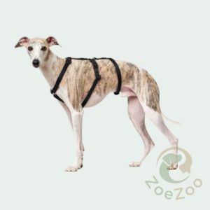 Hunter Anti-Ontsnappingstuig Vario-Rapid