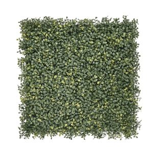 Kunsthaag Buxus Emmaus – 100 x 100 cm