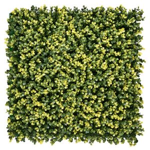 Kunsthaag Buxus Luna – 100 x 100 cm