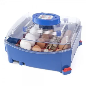 Borotto Lumia 16 Automaat