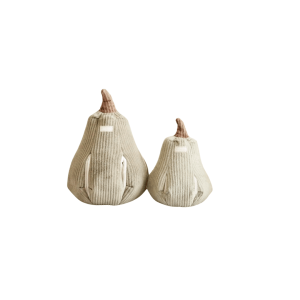 Pompoen Butternut