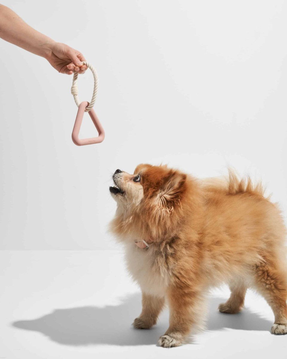 Triangle Tug - Afbeelding 5