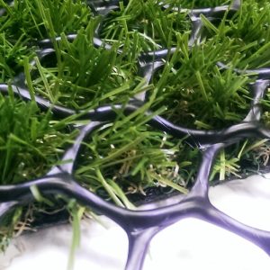 Grasbeschermingsgaas / grasprotector