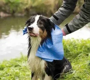 Trixie handdoek assorti hond, kat & paard